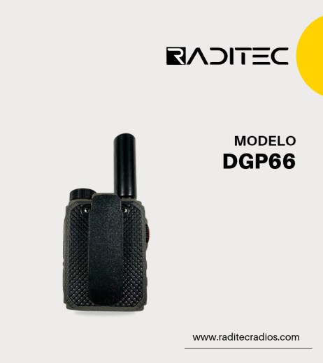 DGP66 (2)